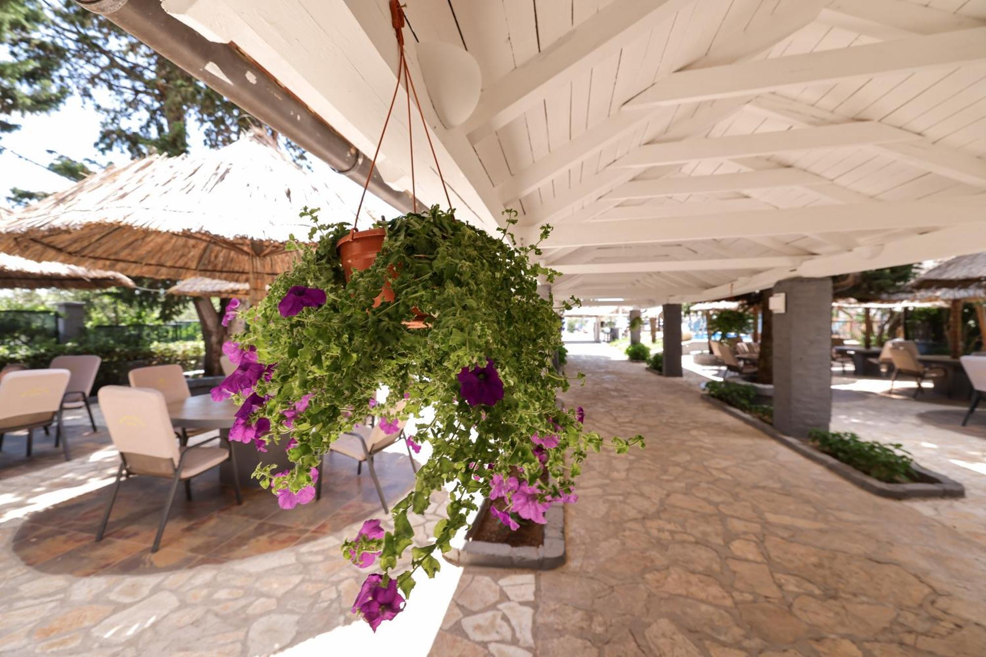 Tribunia Beach Hotel Tribalj Zewnętrze zdjęcie